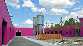 Pink, Magenta, Purpur? Das ist der wohl schrillste Bauhof Bayerns