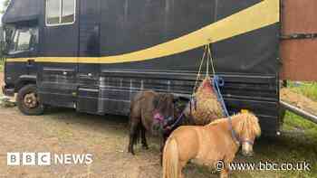 Sheffield clean air zone: Charity condemns 'frustrating' charge