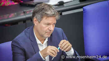 Zu wenig Zeit? CDU-Politiker will Habecks Heizgesetz aufhalten – per einstweiliger Verfügung