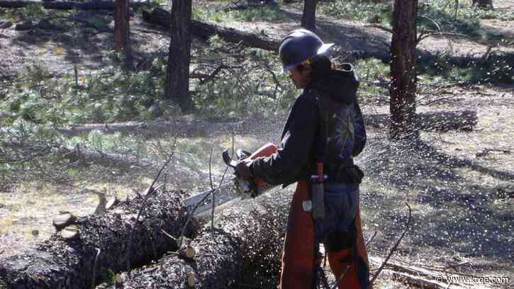 Snow and rain in New Mexico has slowed forest fire prevention