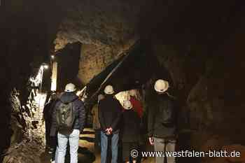 Bad Oeynhausen: Arbeitskreis für Heimatpflege besucht „Dachs I“
