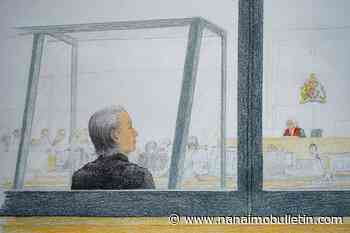 Lawyers ask court to reduce 13-year cyberbullying sentence in Amanda Todd case