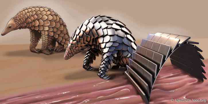 Peculiar Pangolin Bot Is a Pill-Size Prototype