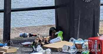 Bristol facing three weeks of bin strikes - including during Harbour Festival weekend