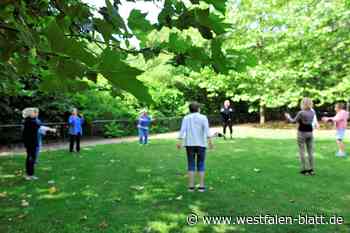 Löhne: Kein Massaria-Pilz an den Platanen auf dem Aqua-Magica-Gelände