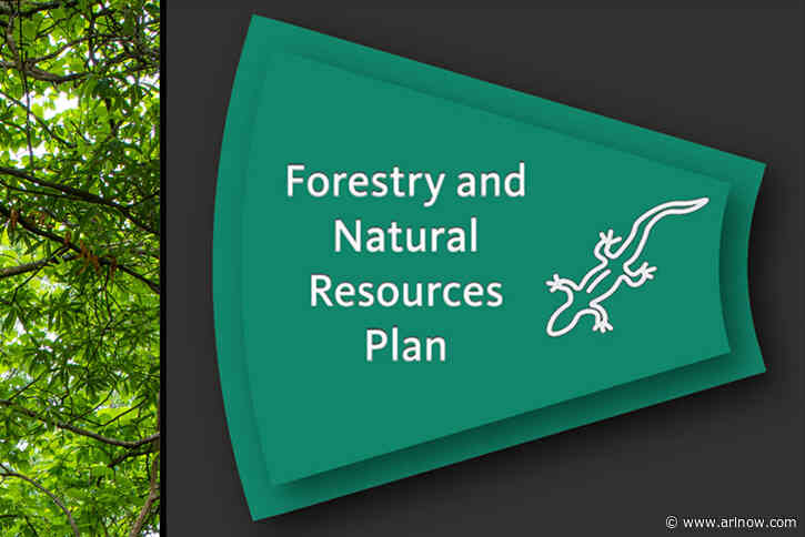 One day left to engage: Help shape Arlington’s Forestry and Natural Resource Plan today!