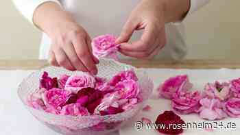Rosenwasser selber machen: feiner Duft für die Küche, Wohltat für die Haut
