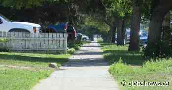 Two Saskatoon kids hospitalized after attack by loose dog