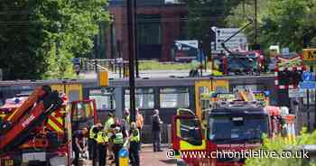 Action 'needed now' on Metro crossing safety barriers after yet another crash between train and car