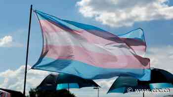 Fee-for-service gender-affirming virtual healthcare clinic launches in Ontario