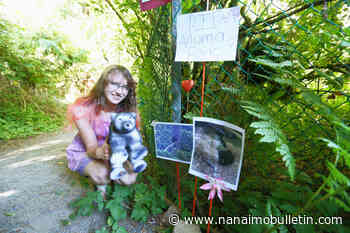 ‘Absolutely devastating’: View Royal teen mourns after mother bear euthanized