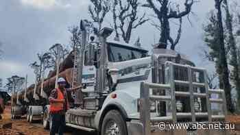 Vic timber family moves interstate amid growing sawmill closures