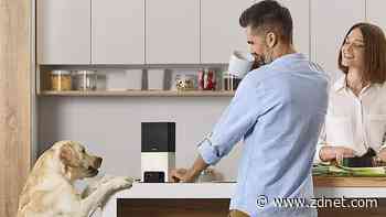 The best pet tech gifts