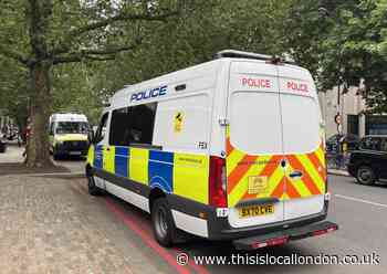 Just Stop Oil protesters charged after Ashes test disrupted