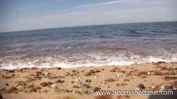 Bridgeport beach delays opening due to large tick population