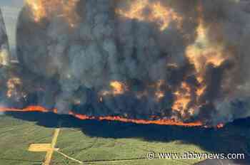 Wildfires threaten almost half of all public lands in B.C: report