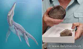 Jurassic sea creatures once swam across Texas and north Mexico, new plesiosaur fossil records show