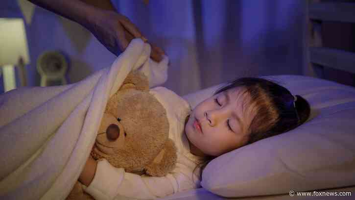 Teddy Bears with AI: Cool, creepy or a true security risk?