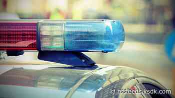 Riverview police receiving mutual aid after 'mass employee walkout'