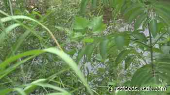 Cleanup started after chemical spill near St. Louis airport