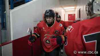 Professional women's hockey in North America unified after business deal, sources say