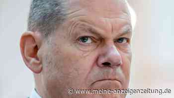 Fridays for Future wirft Scholz Führungsversagen vor