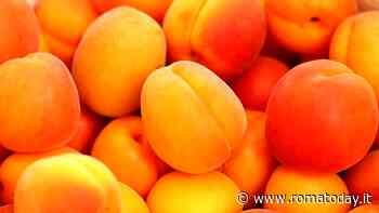 Albicocche, tutti i benefici del frutto dell'estate