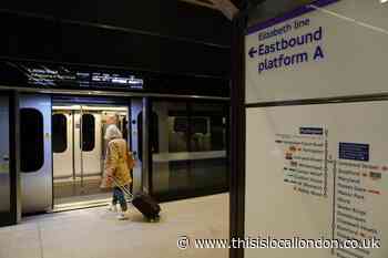 Trains suspended on £19bn Elizabeth line due to swan on the track