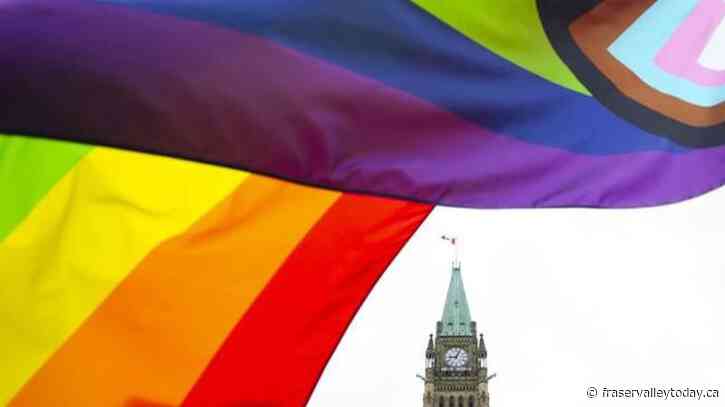 Attacks on LGBTQ community largely influenced by events in the U.S.: advocates