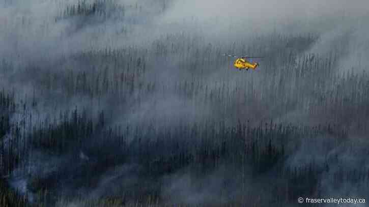 B.C. must urgently change forest strategies or face more wildfire disasters: report