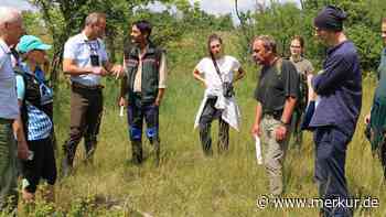 Exkursion des Landschaftspflegeverbands durch die geheimnisvolle Dietersheimer Brenne