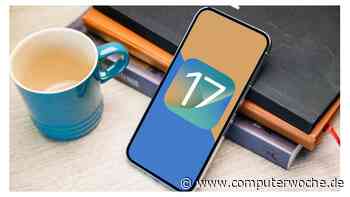 iOS 17: Visuelles Nachschlagen wird viel nützlicher