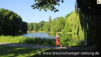 Gesucht werden Wolfenbüttels beste Hobbyfotografen