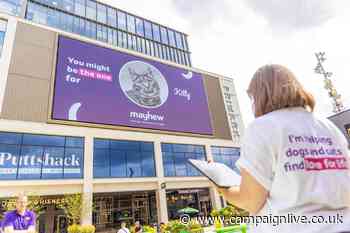 Award-winning DOOH ad matches rescue pets with owners
