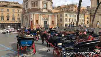 Stop alle botticelle nelle ore più calde: ecco la nuova ordinanza del sindaco