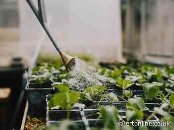 John Lewis announces net-zero science-based targets validated by official body