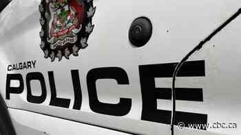 Woman dead, man taken into custody in northwest Calgary, police say