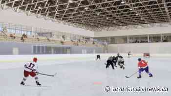 Son of slain billionaires Honey and Barry Sherman funds new NHL-sized hockey arena near Toronto