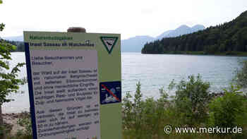 Walchensee: Kite-Surfer in Not und verbotene Fahrt zur Insel Sassau