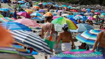 Hilferuf von Mallorca – „Macht bitte keine Videos mehr“