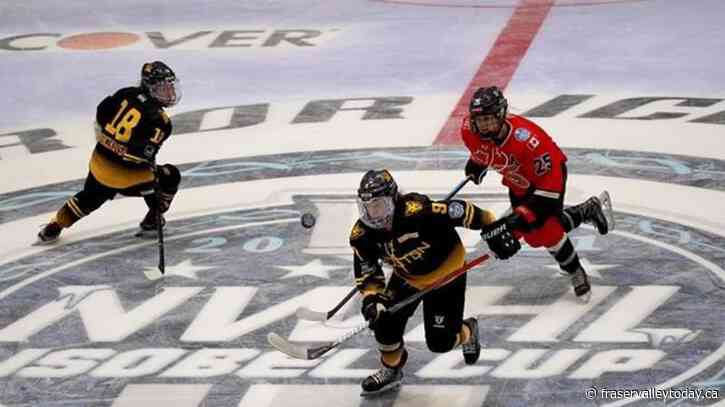 New women’s pro hockey league set for January debut, to be funded by Dodgers owner