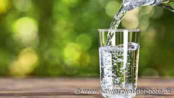 Sprudel aus dem Nordschwarzwald: „Teinacher“ wehrt sich gegen Ökotest-Urteil