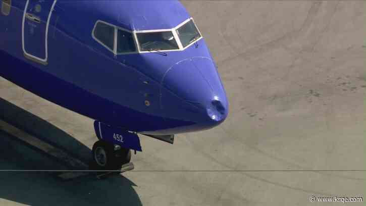 Bird strike damages Southwest plane landing at Burbank Airport