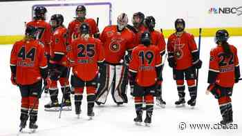 New pro women's hockey league to launch in January after deal with Dodgers co-owner