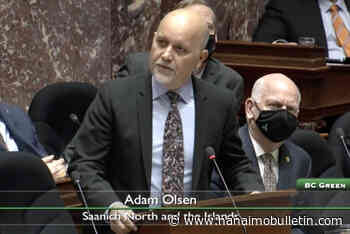 Calls for resignation of B.C.’s children and family minister continue growing