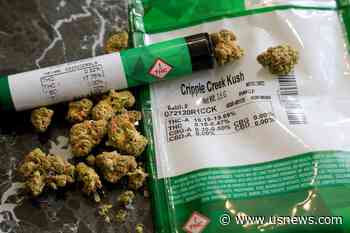 NY's Marijuana Businesses Secure $150 Million Private Investment for Social Equity Fund