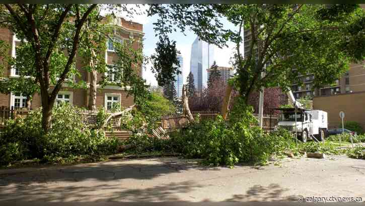 Calgary emergency crews handle heavy volume of calls following severe thunderstorm