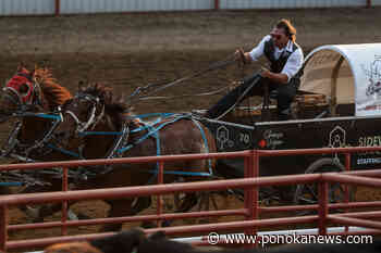 World Professional Chuckwagon Association day 4 Ponoka Stampede wrapup