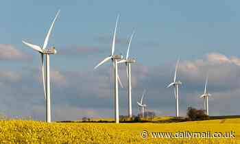 Britain could be home to the world's first 'green', hydrogen-powered crematorium