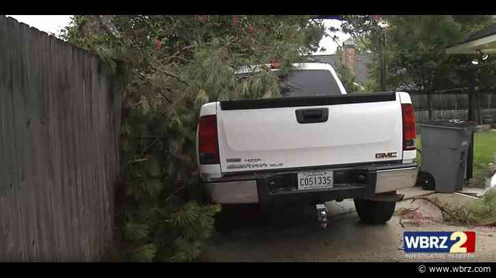 Nuisance tree is gone after call to 2 On Your Side; property owner can breathe easy